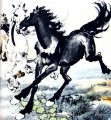 徐北紅馬の古い中国の馬